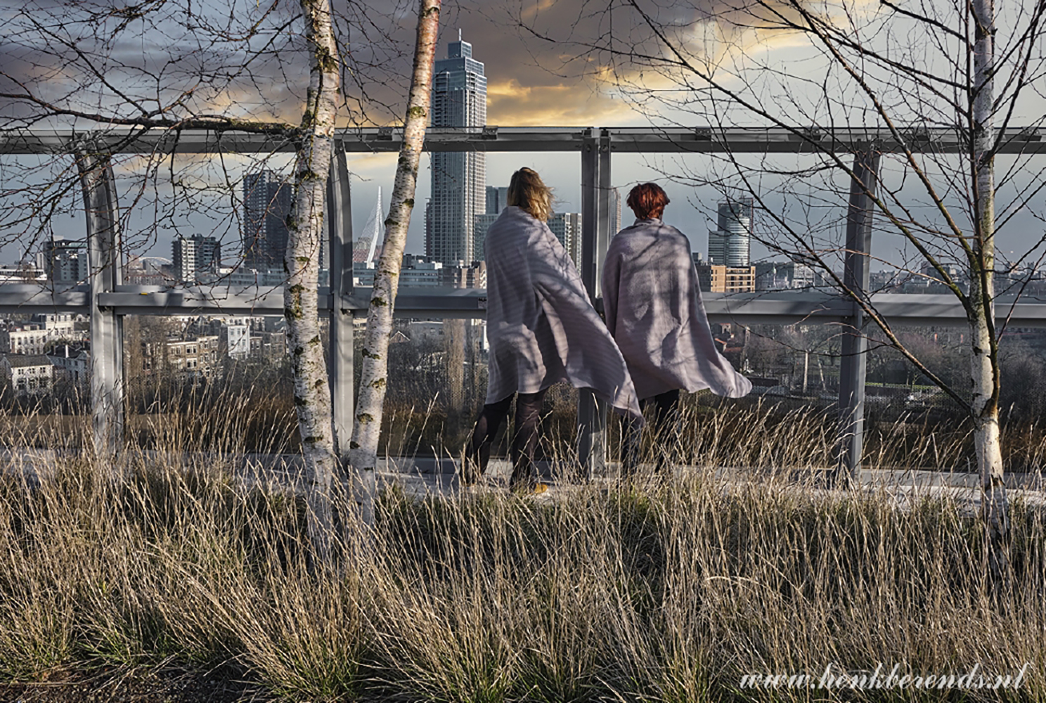 Rotterdam Depot Boymans 2
